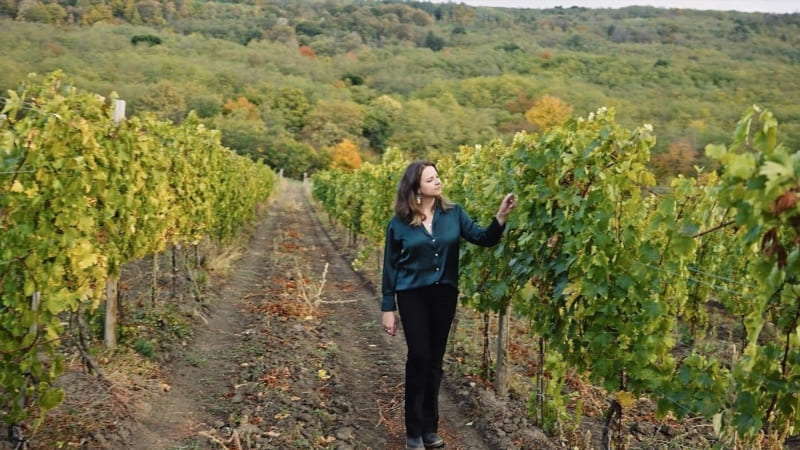 Exploring Beyond the Vineyards
