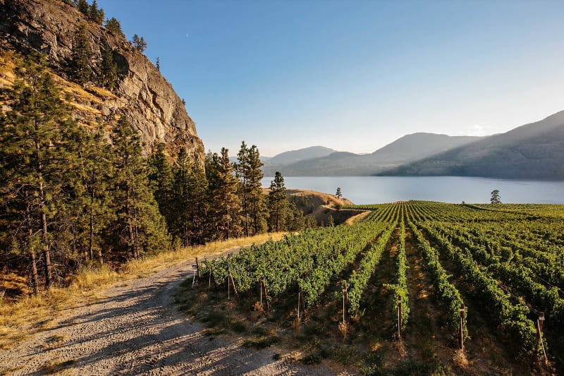 First Winery in the Okanagan: A Legacy Continued