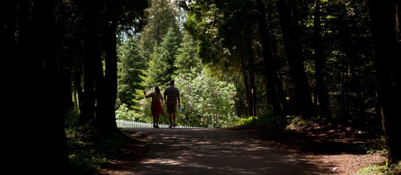 Hiking and Biking Trails: Exploring Nature's Beauty