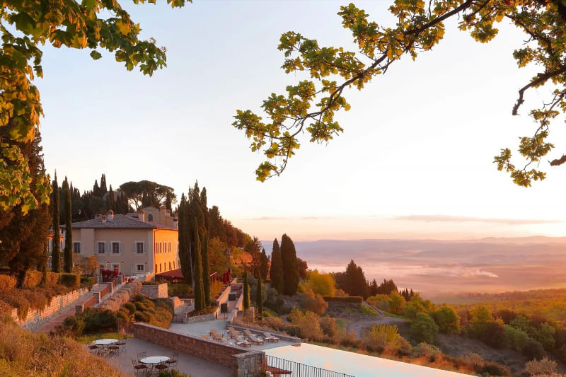 Luxury Amidst the Vines: Boutique Hotels and Resorts