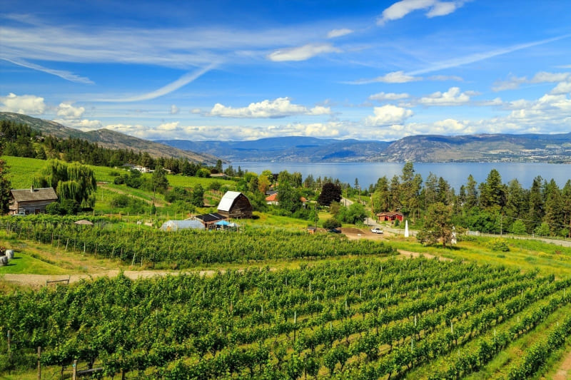 Okanagan Wine Tasting: A Personal Adventure