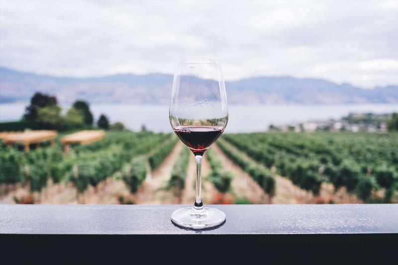 Okanagan Wine Today and Tomorrow