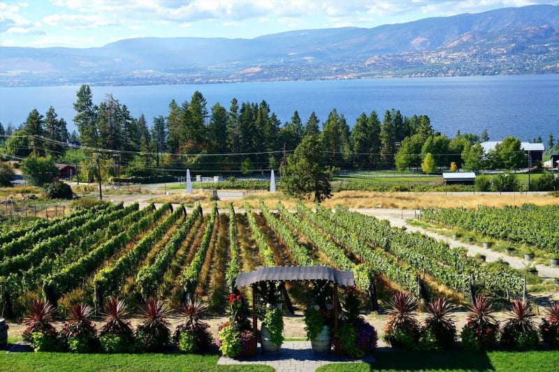 Outdoor Adventures with Distinctly Kelowna Tours