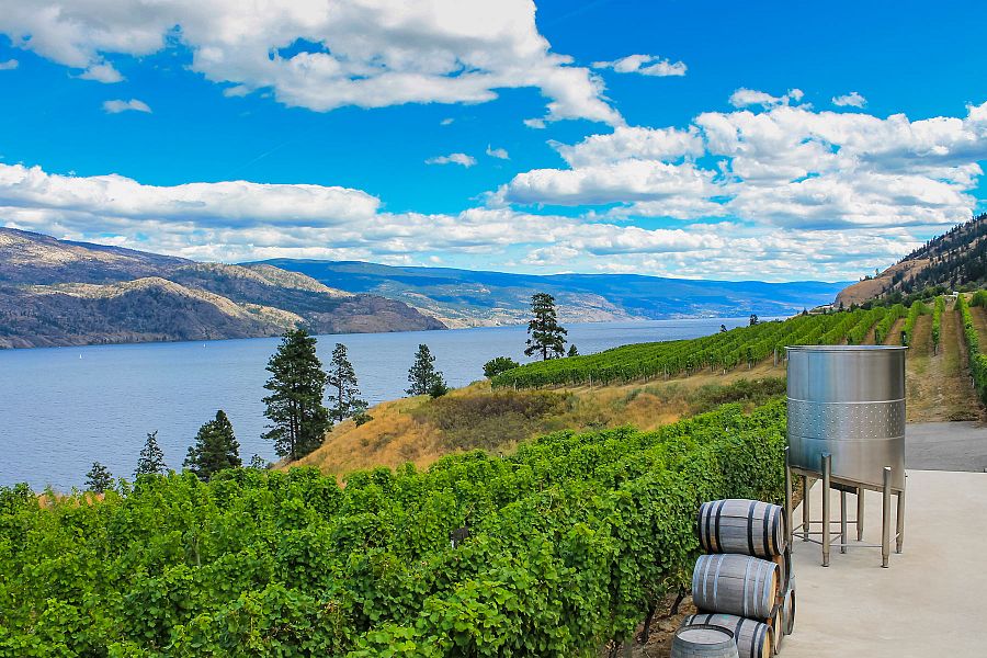 Sustainable Sipping: Okanagan's Eco-Friendly Winemaking